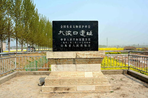 文字的萌芽 從刻畫符號陶尊看遠古文明密碼與遺址保護