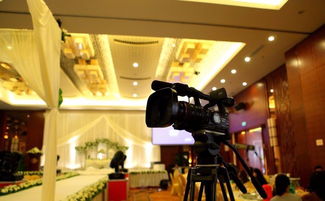 專業(yè)活動(dòng)策劃與承辦 一站式服務(wù)打造精彩瞬間